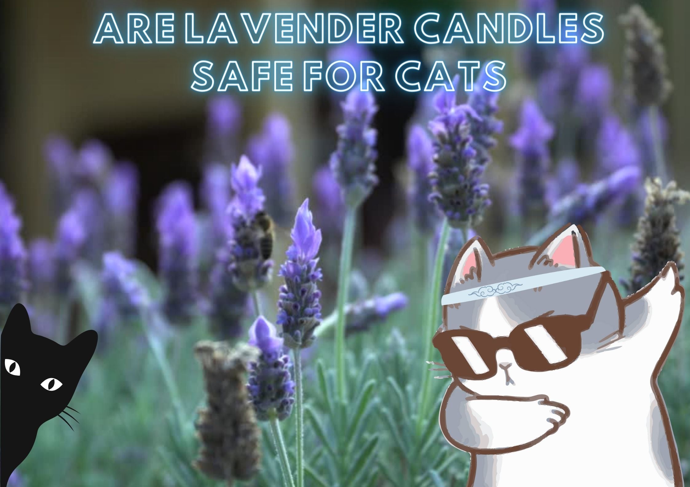 Are lavender candles safe for cats?