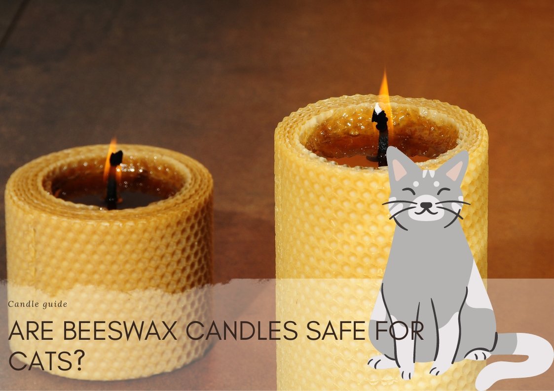 Are beeswax candles safe for cats?