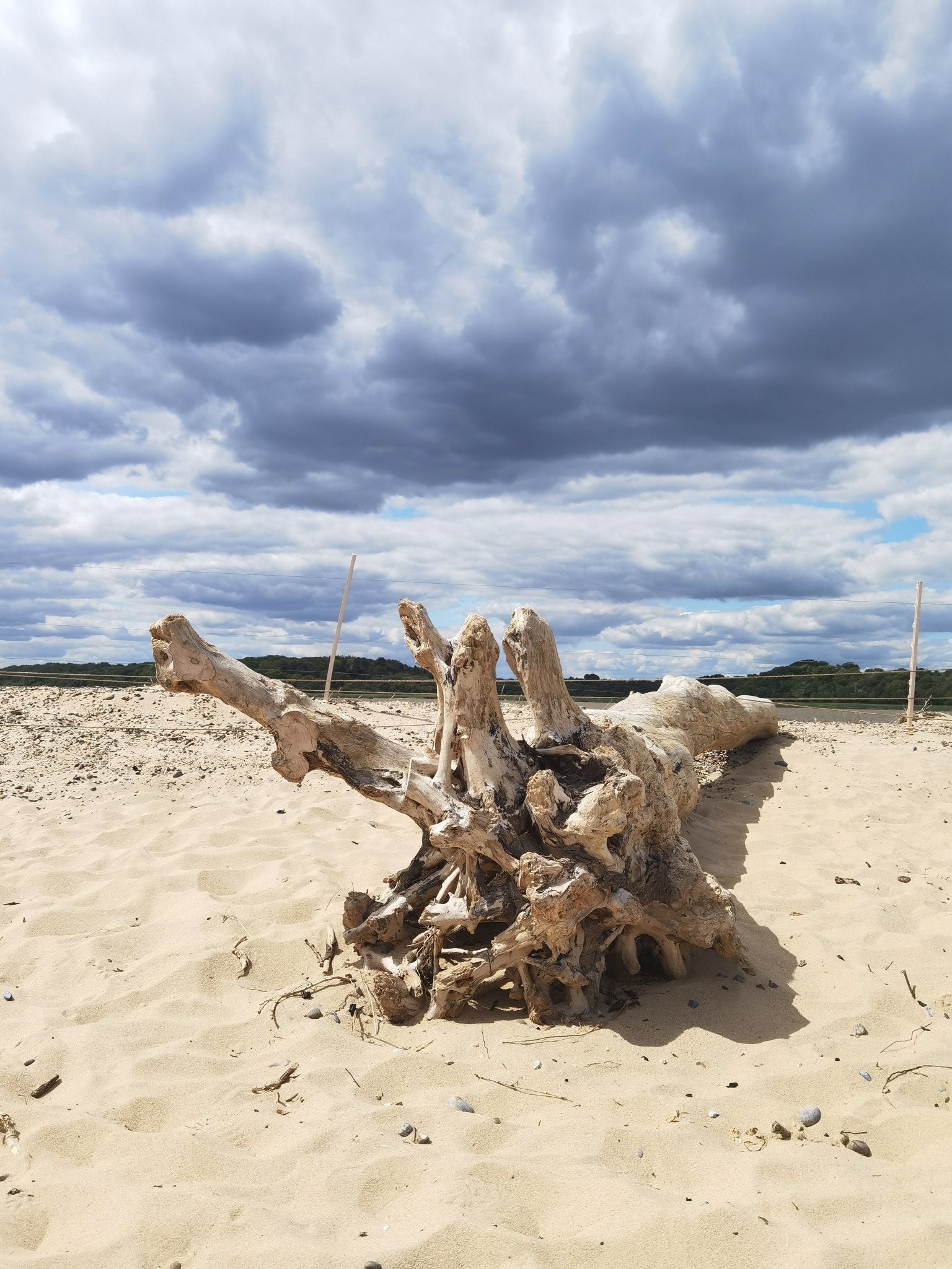 Essential oil candles that help ease anxiety