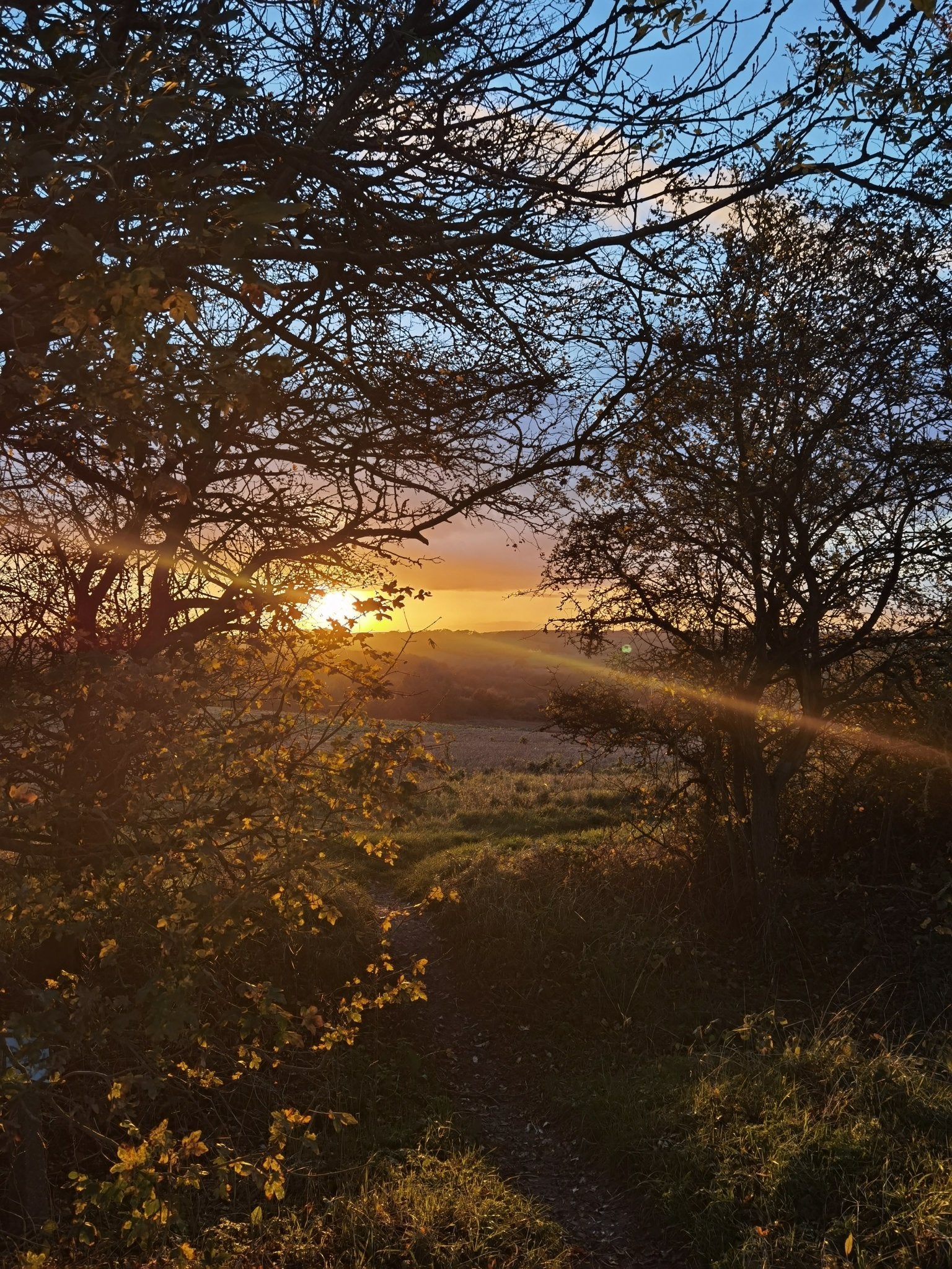 Scents Can Have A Positive Effect On Your Mood