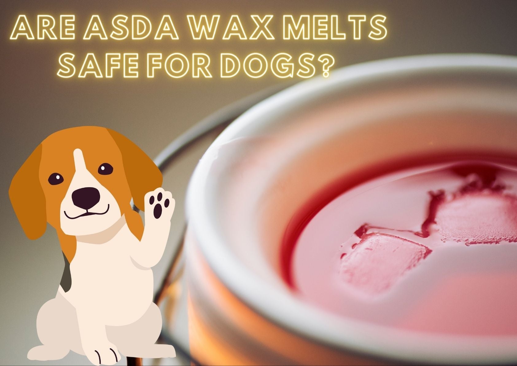 Are Asda Wax Melts Safe for Dogs 
