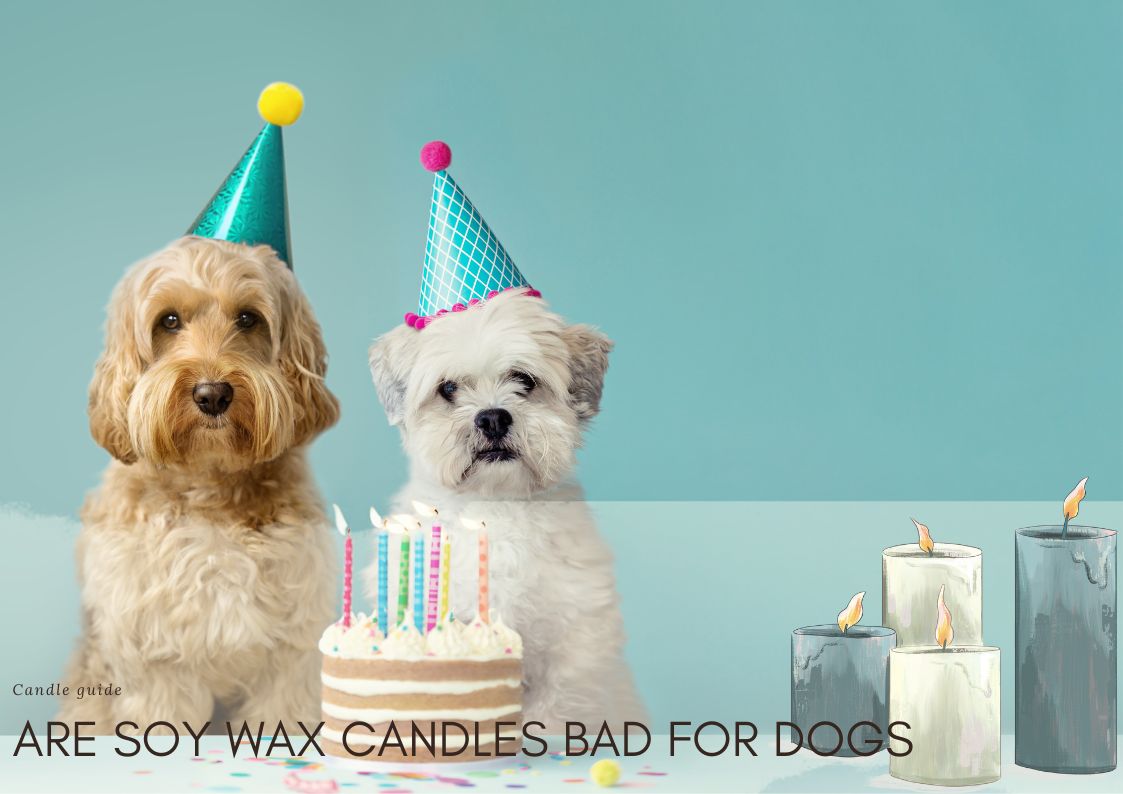 Are Soy Wax Candles Bad For Dogs