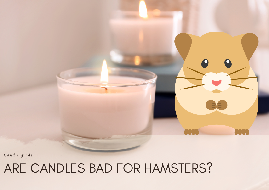 Are Candles Bad For Hamsters