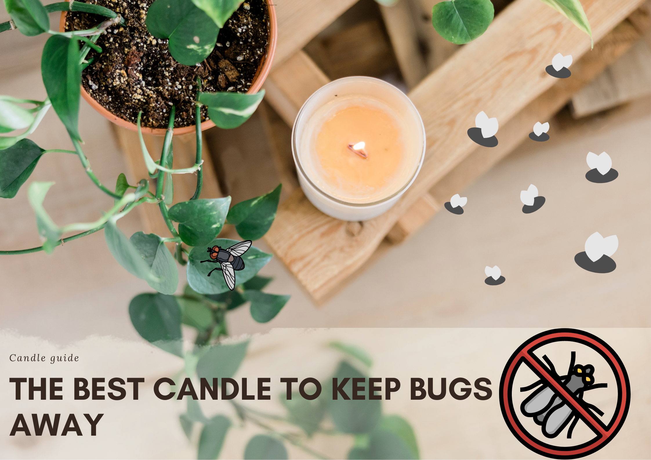 The best candle to keep bugs away