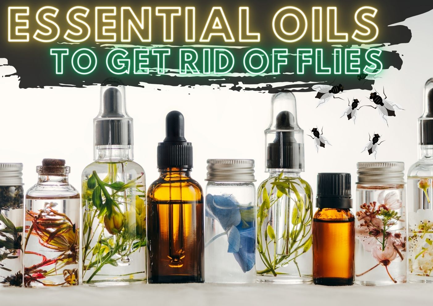 Essential oils to get rid of flies