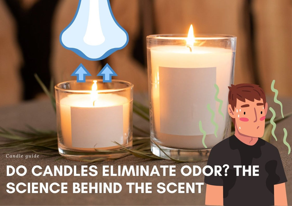 Do Candles Eliminate Odour? The Science Behind the Scent Suffolk Candles