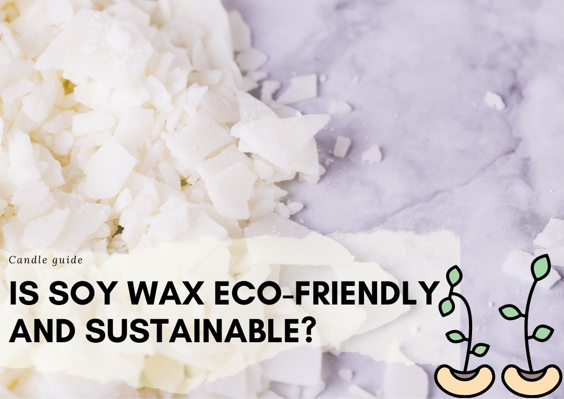 Is Soy Wax Eco-Friendly And Sustainable? Let's find out the truth –  Suffolk Candles