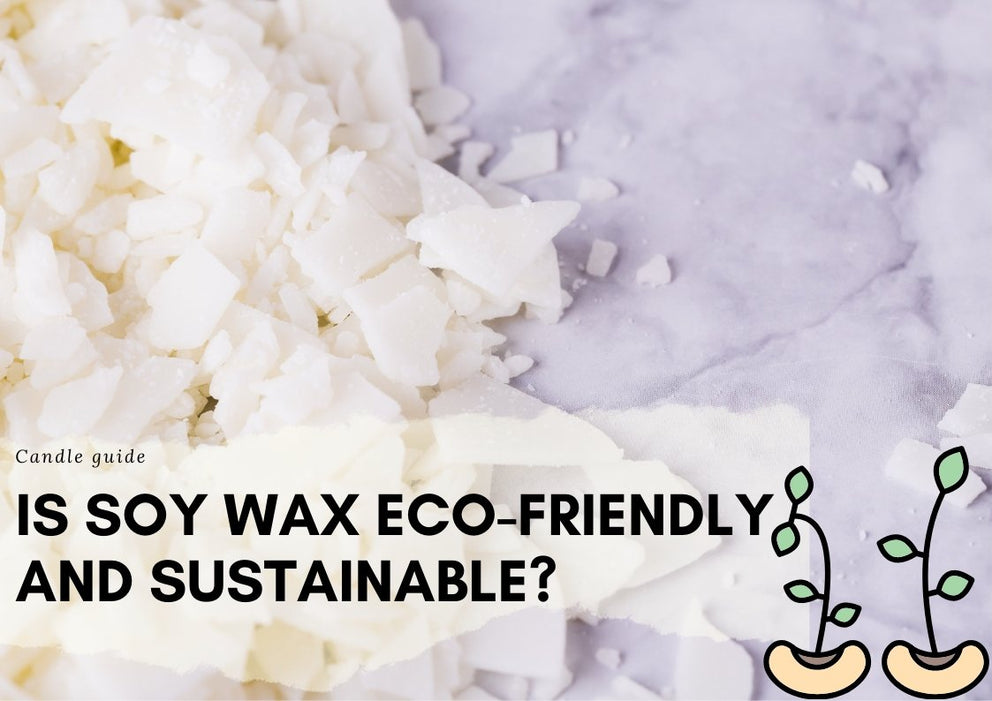 Is Soy Wax EcoFriendly And Sustainable? Let's find out the truth