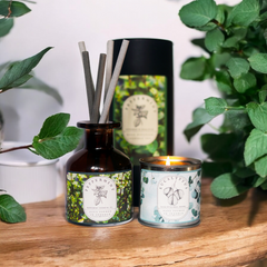 Peppermint Reed Diffuser & Eucalyptus Candle Bundle, Peppermint Spa, Lasts up to 3 Months, Suffolk Candles